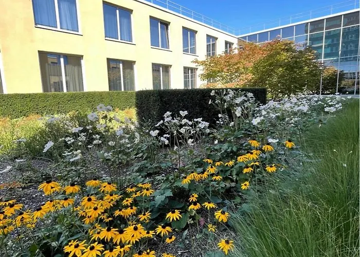 كارات سيتي 4*